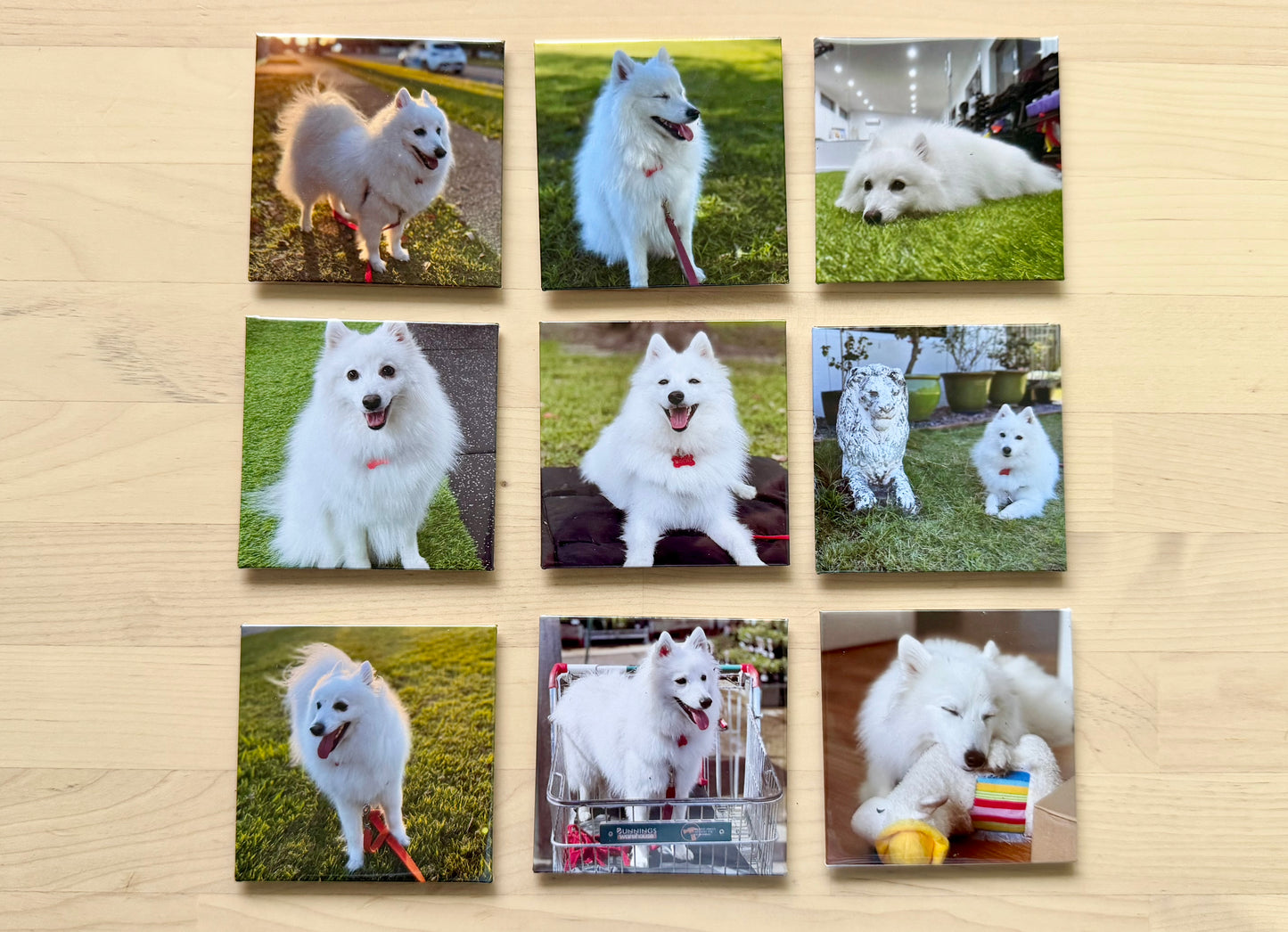 Square Photo Magnet 65x65mm | Bundles - 24